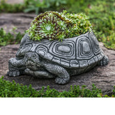 Photo of Campania Turtle Planters - Marquis Gardens